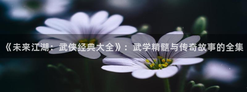 db电竞官网登录注册不了：《未来江湖：武侠经典大全》：武学精髓与传奇故事的全集