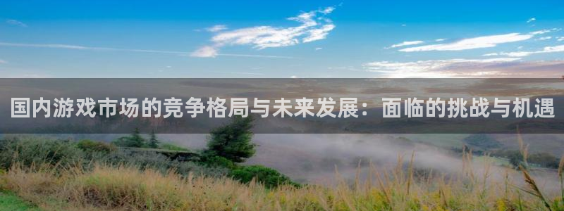 江苏db电竞智得新材料有限公司：国内游戏市场的竞争格局与未来发展：面临的挑战与机遇