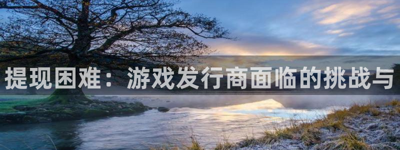 db电竞官网客服：提现困难：游戏发行商面临的挑战与