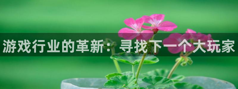 db电竞官网游戏怎么注册：游戏行业的革新：寻找下一个大玩家