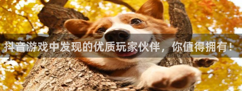 南京db电竞子电子商务有限公司：抖音游戏中发现的优质玩家伙伴，你值得拥有！