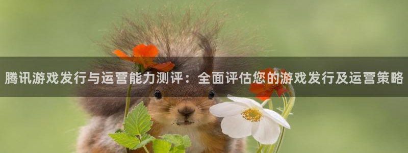 db电竞官网登录注册失败怎么回事：腾讯游戏发行与运营能力测评：全面评估您的游戏发行及运营策略