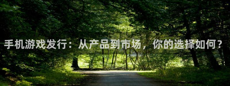 db电竞是什么品牌：手机游戏发行：从产品到市场，你的选择如何？