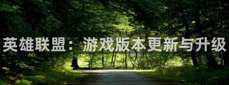 db电竞子书店：英雄联盟：游戏版本更新与升级