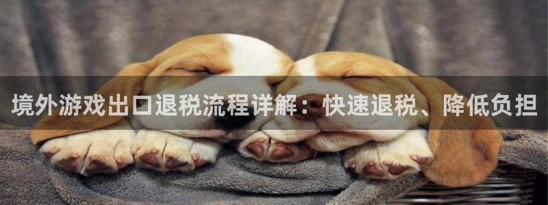 db电竞官网注册登录：境外游戏出口退税流程详解：快速退税、降低负担