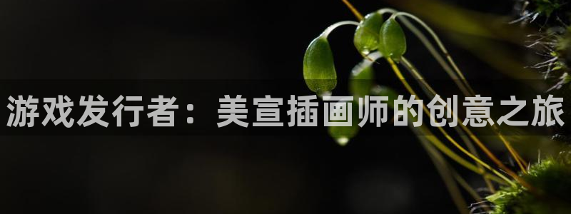 db电竞官网登录注册账号是什么样的：游戏发行者：美宣插画师的创意之旅